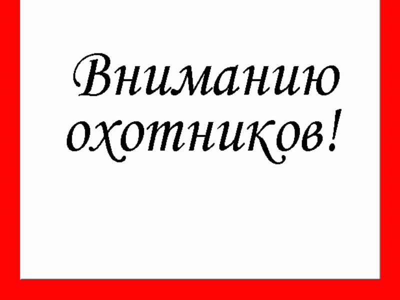 Порядок выдачи разрешений на добычу охотничьих ресурсов.