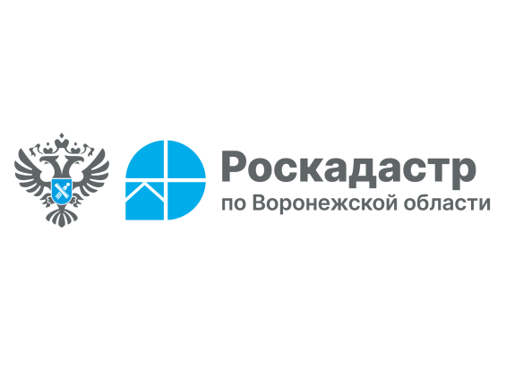 Роскадастр ответил на популярные вопросы воронежцев о выписках из ЕГРН.