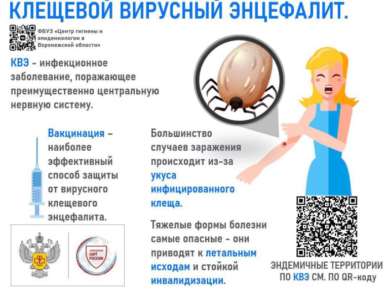 О профилактике клещевого энцефалита и желтой лихорадки. О профилактике клещевого энцефалита и желтой лихорадки.